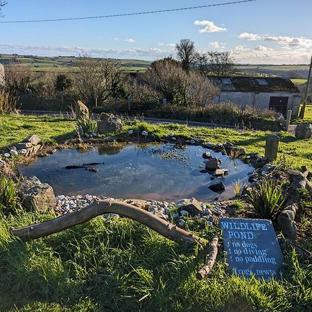 The Pasty - Lydcott Glamping Lägenhet Looe Exteriör bild